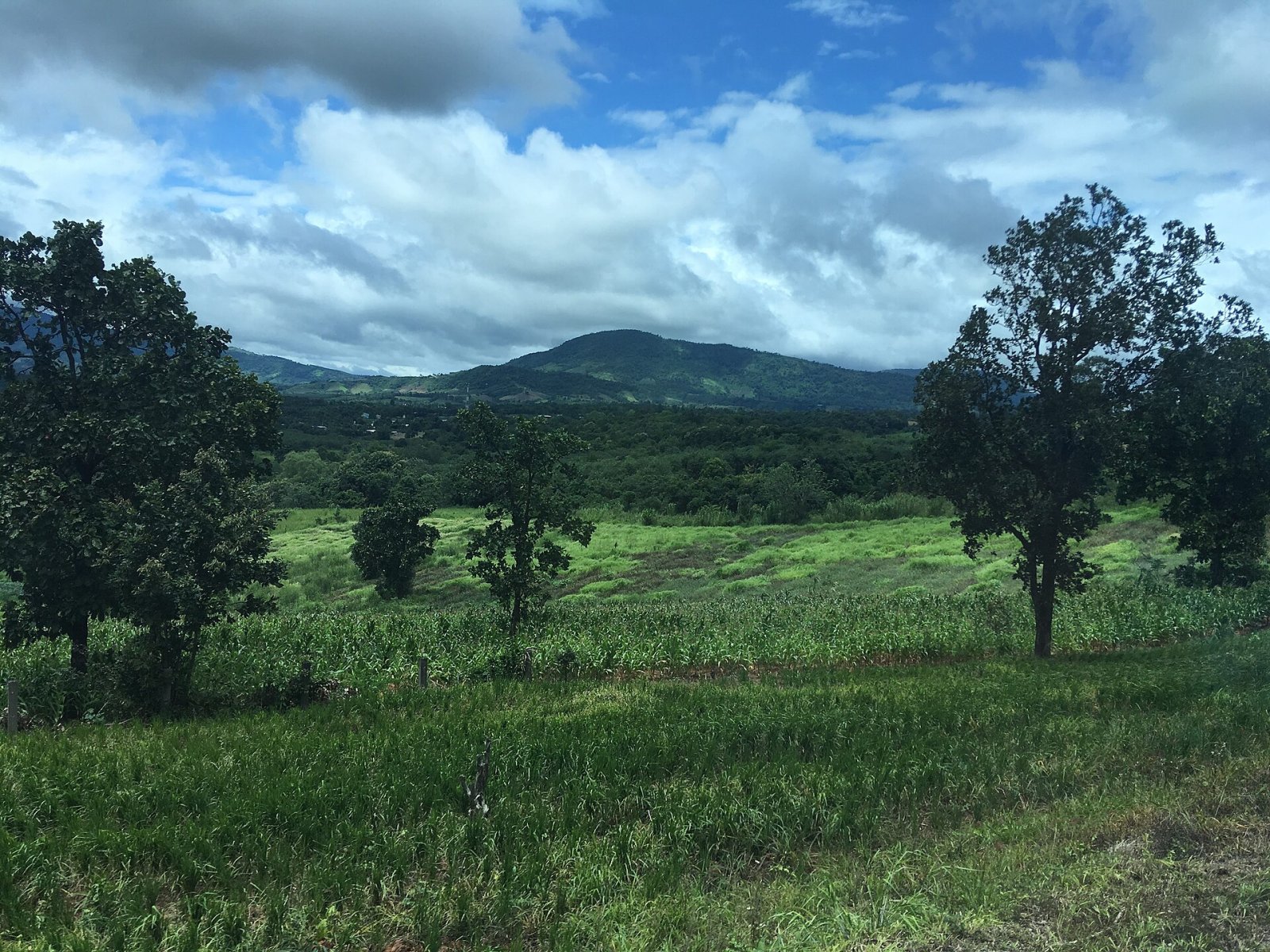 Entdecken Sie Phu Ruea: Ein unberührtes Naturparadies in Thailand — Phu Ruea District