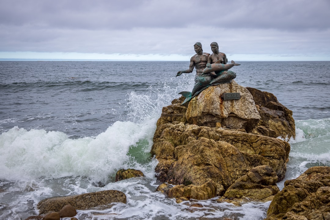 Skulpturen am Meer: Kunst und Natur in Surry Hills - 302/61 Marlborough St | Secret World Trip Planner