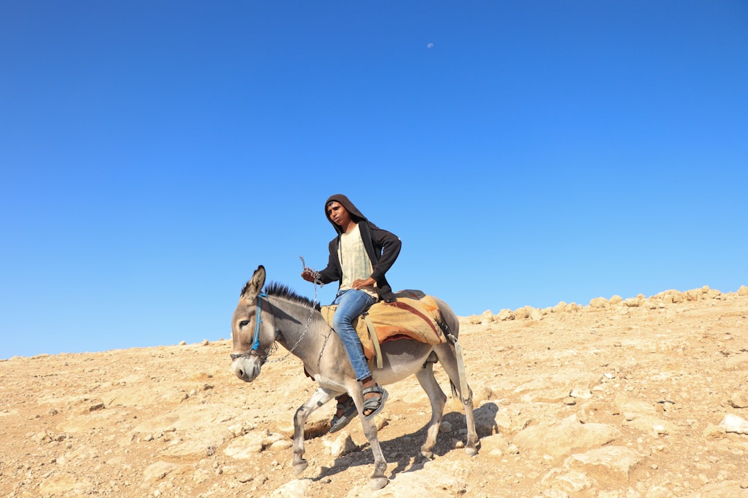 Terme nel Deserto Giudeo: Un'Esperienza Unica | Secret World Trip Planner