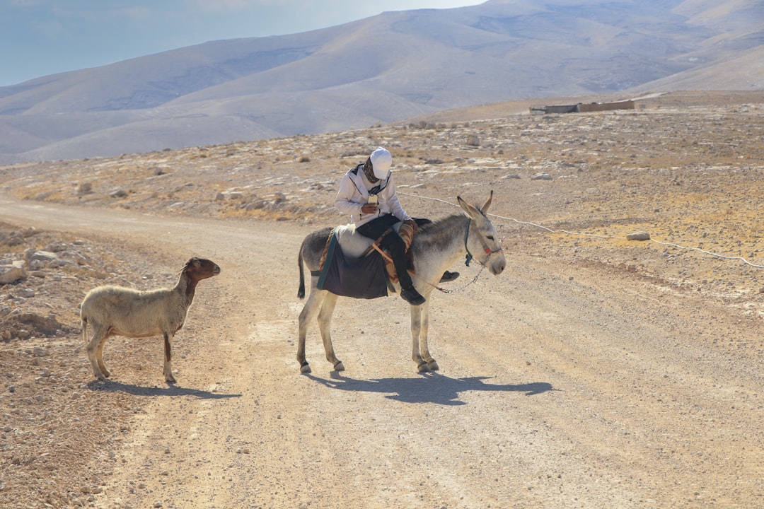 Terme nel Deserto Giudeo: Un'Esperienza Unica | Secret World Trip Planner