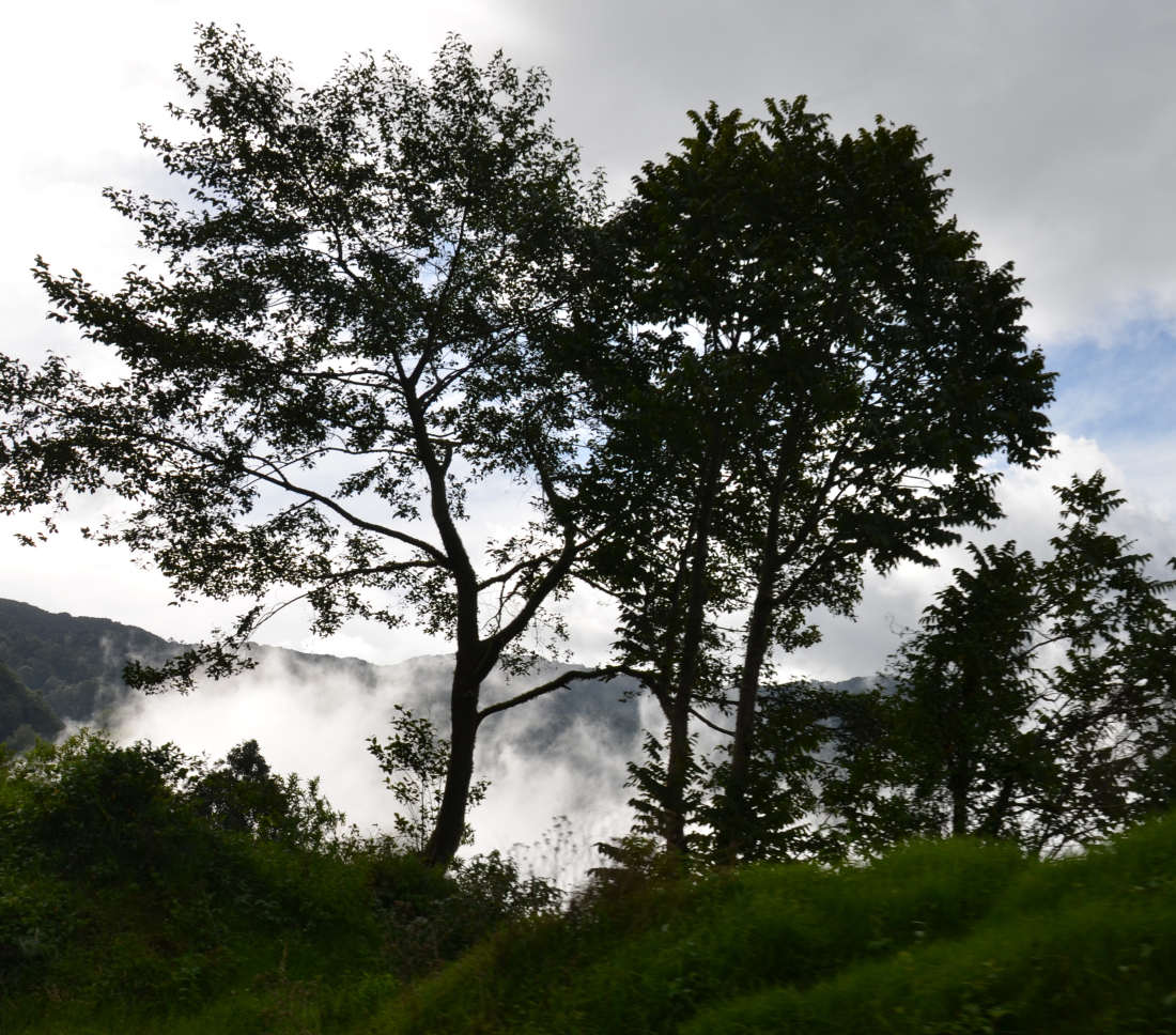 Discover Cerro San José: A Natural Gem in Costa Rica — Abangares