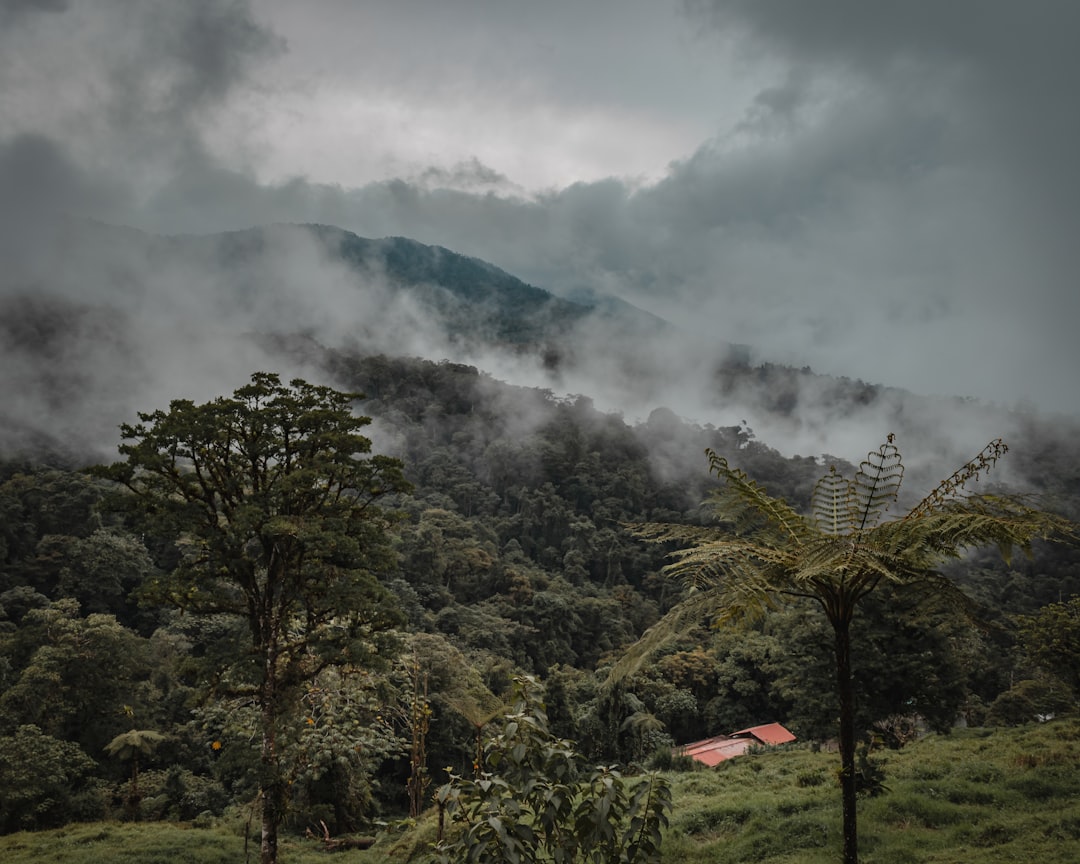 Discover Cerro Cedral: A Natural Gem of Costa Rica - San Antonio | Secret World Trip Planner