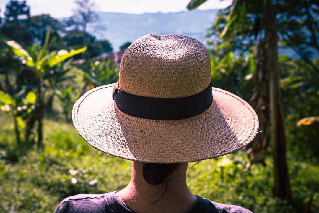 Cerro Gandi: Ein Naturparadies in Panama
