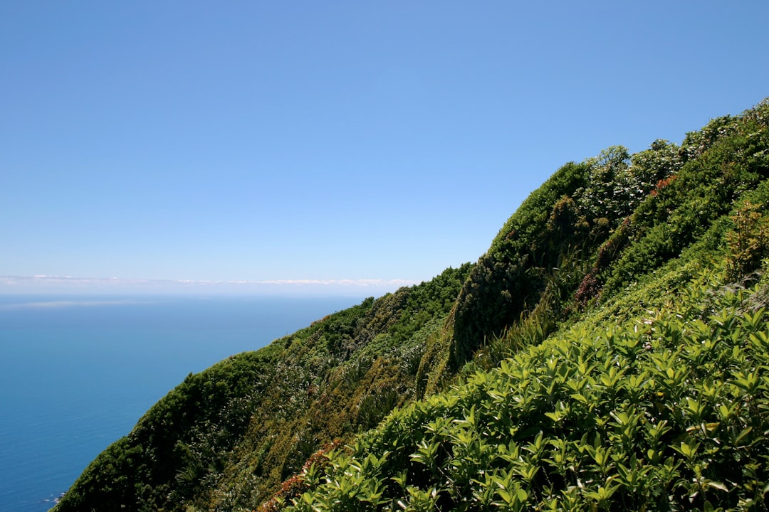 Sentieri Magici della Kapiti Coast - Kapiti | Secret World Trip Planner