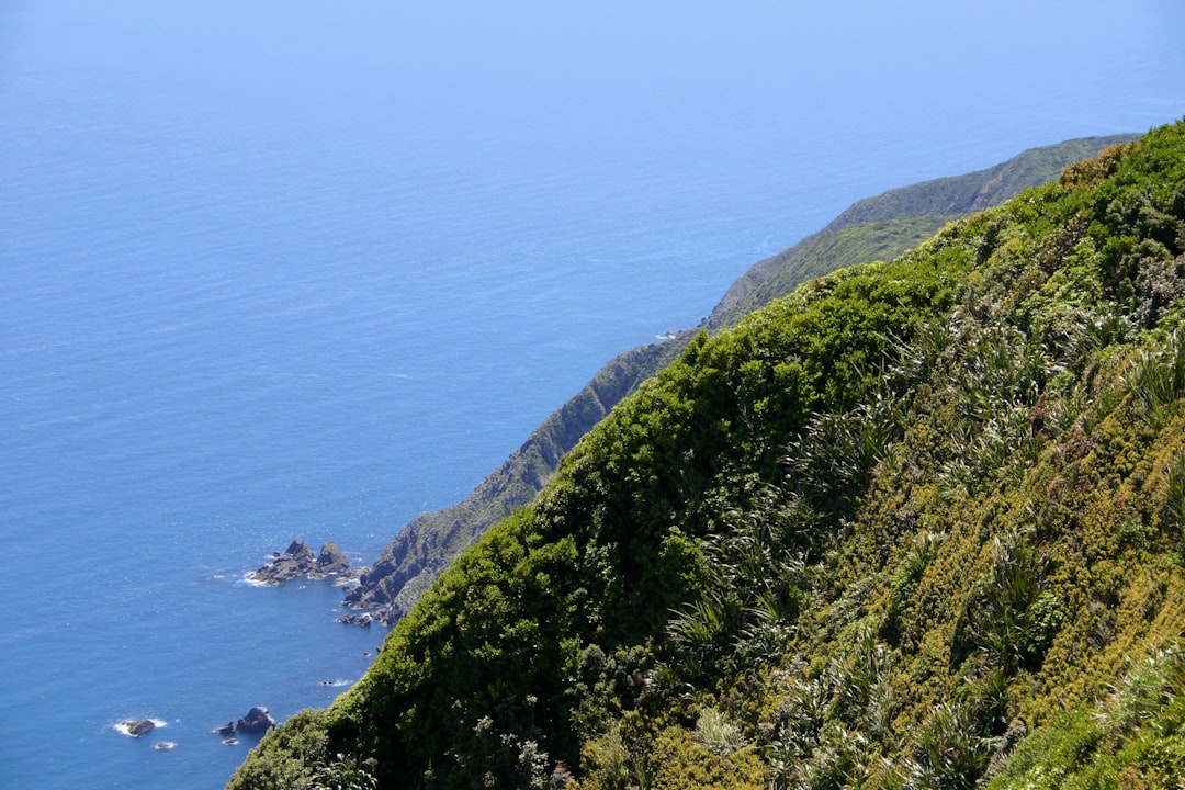 Magical Trails of the Kapiti Coast - Kapiti | Secret World Trip Planner