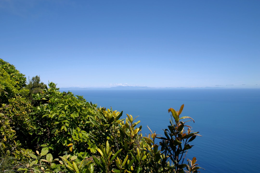 Magical Trails of the Kapiti Coast - Kapiti | Secret World Trip Planner