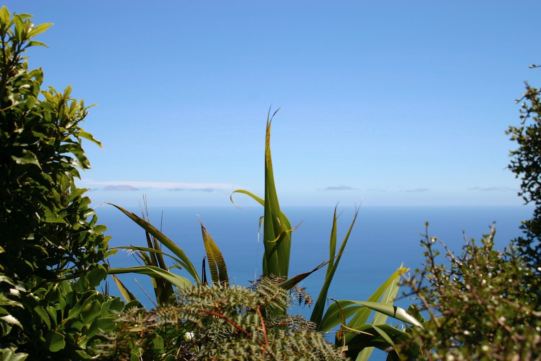 Magische Pfade der Kapiti Coast entdecken - Kapiti | Secret World Trip Planner