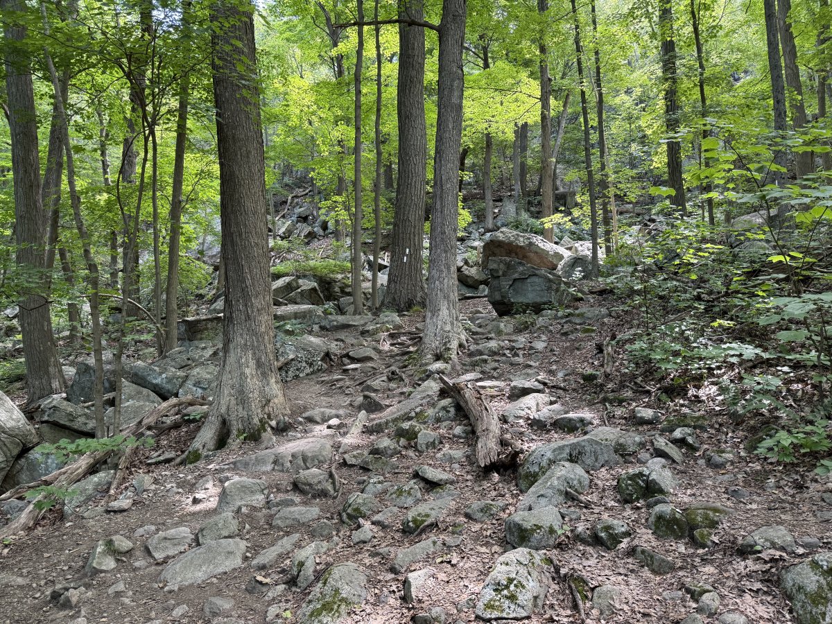 Exploring the Appalachian Trail: An Endless Trek