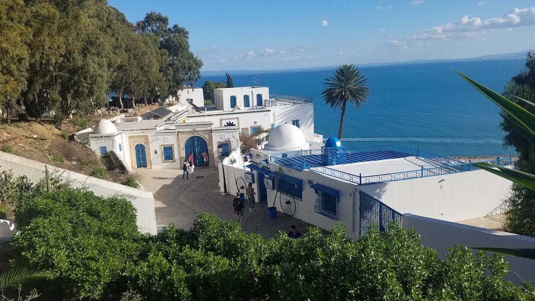 Sidi Bou Said: Die Märkte eines verzauberten Dorfes — Sidi Bou Said