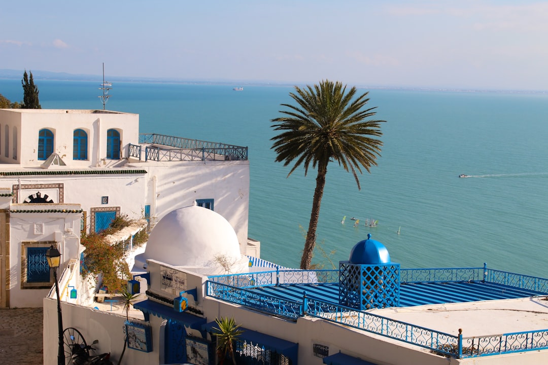 Sidi Bou Said: Die Märkte eines verzauberten Dorfes - Sidi Bou Said | Secret World Trip Planner