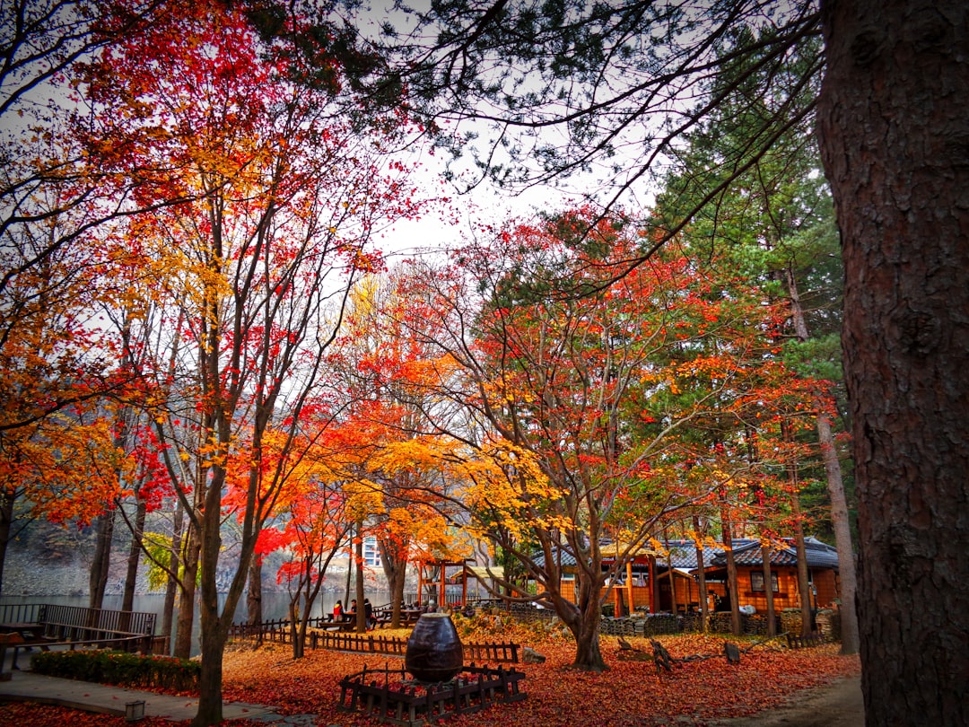 Die besten Alternativen zu Wanderlog für Reisen in Seoul 2026 - Seoul | Secret World Trip Planner