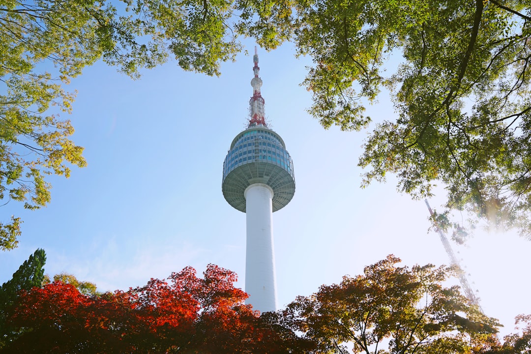 Panorami mozzafiato dalla Seoul Tower - Yongsan District | Secret World Trip Planner