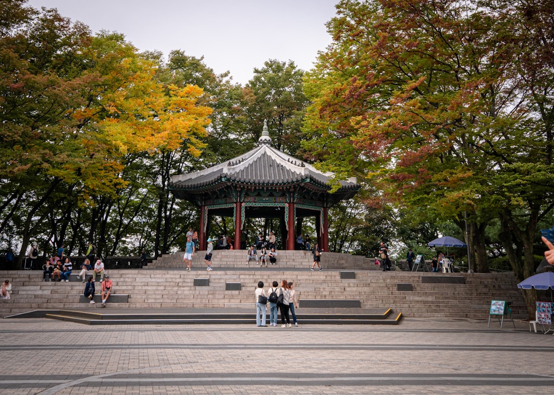 Breathtaking Views from Seoul Tower - Yongsan District | Secret World Trip Planner