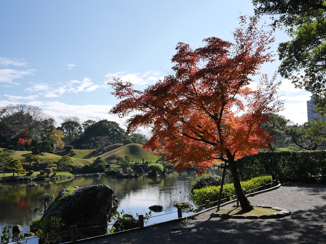 Suizenji Jojuen: Un Giardino Segreto di Tranquillità - Kumamoto | Secret World Trip Planner