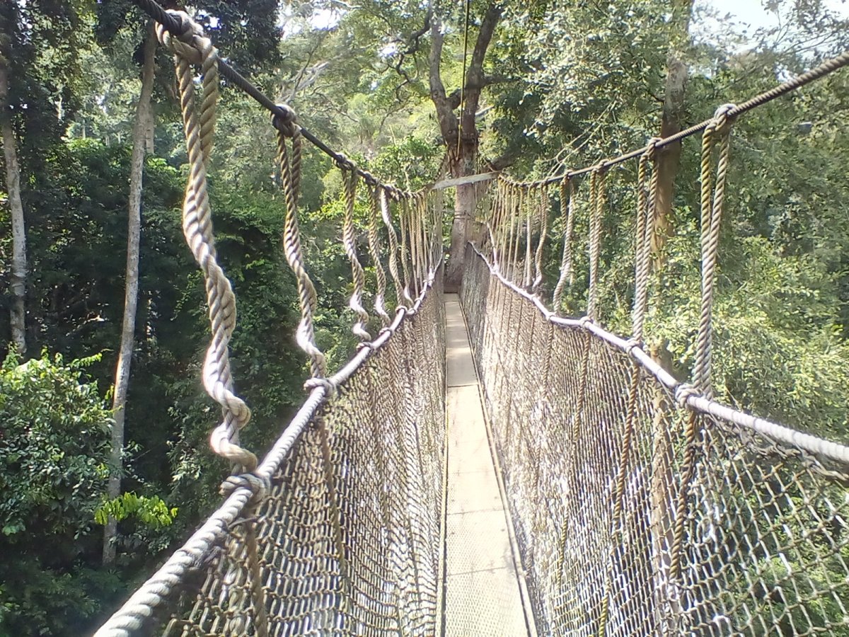 Kakum Nationalpark: Ein verstecktes Juwel in Ghana — R82