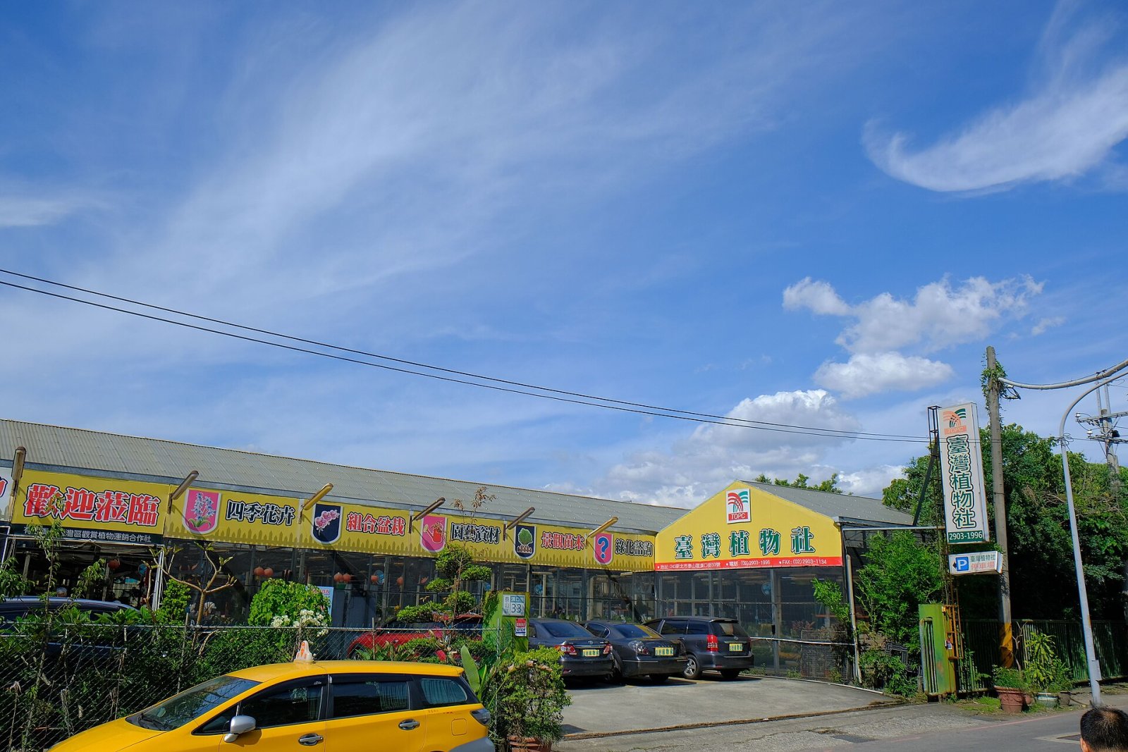 Discover Taishan: A Nature Haven in Taiwan — Hongtou Village