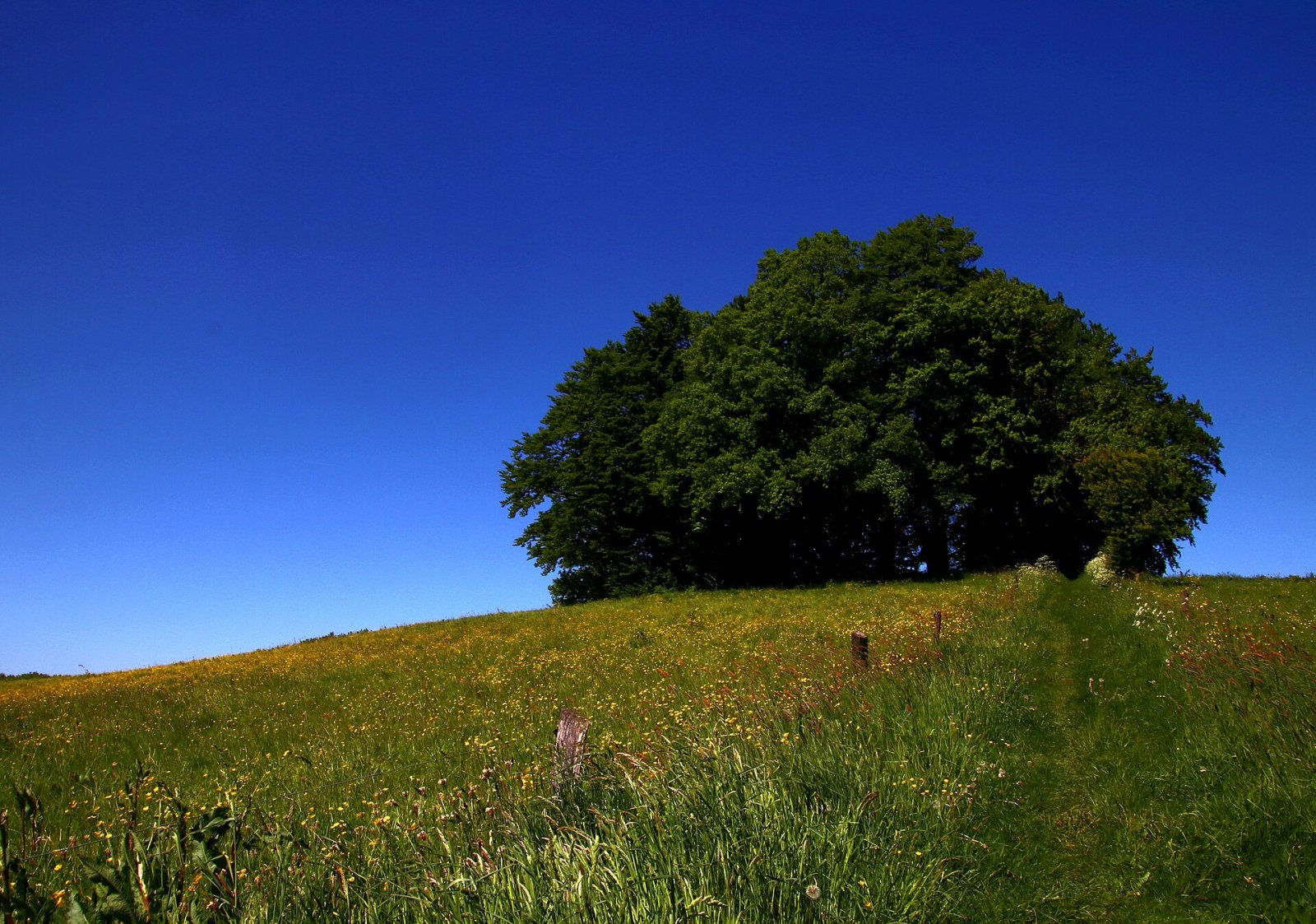 Hjertehøj: Eine Reise in die Geschichte Dänemarks - WHHM+CX | Secret World Trip Planner