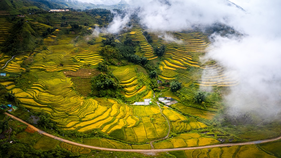Enchanting Sunsets over Ta Phin Rice Fields - Ta Phin | Secret World Trip Planner