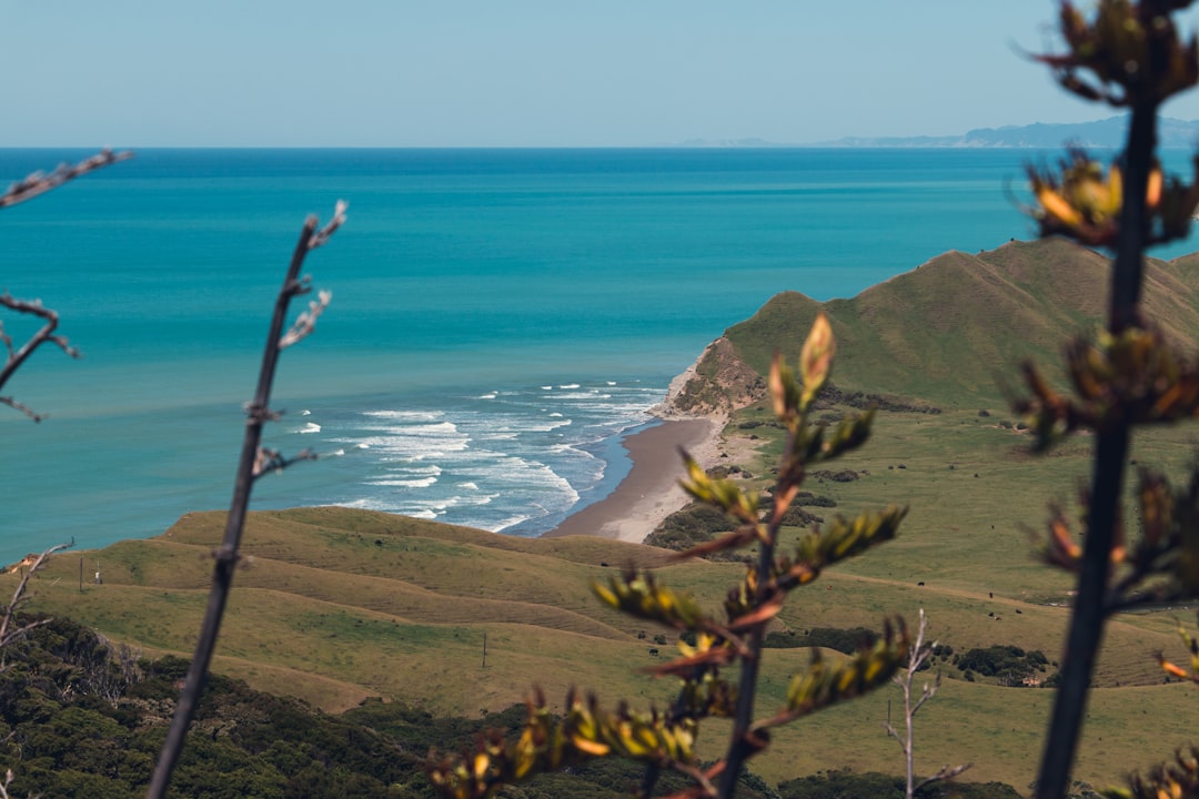 Discover Kauapea Beach: Kauai's Hidden Gem - Kauapea Beach | Secret World Trip Planner