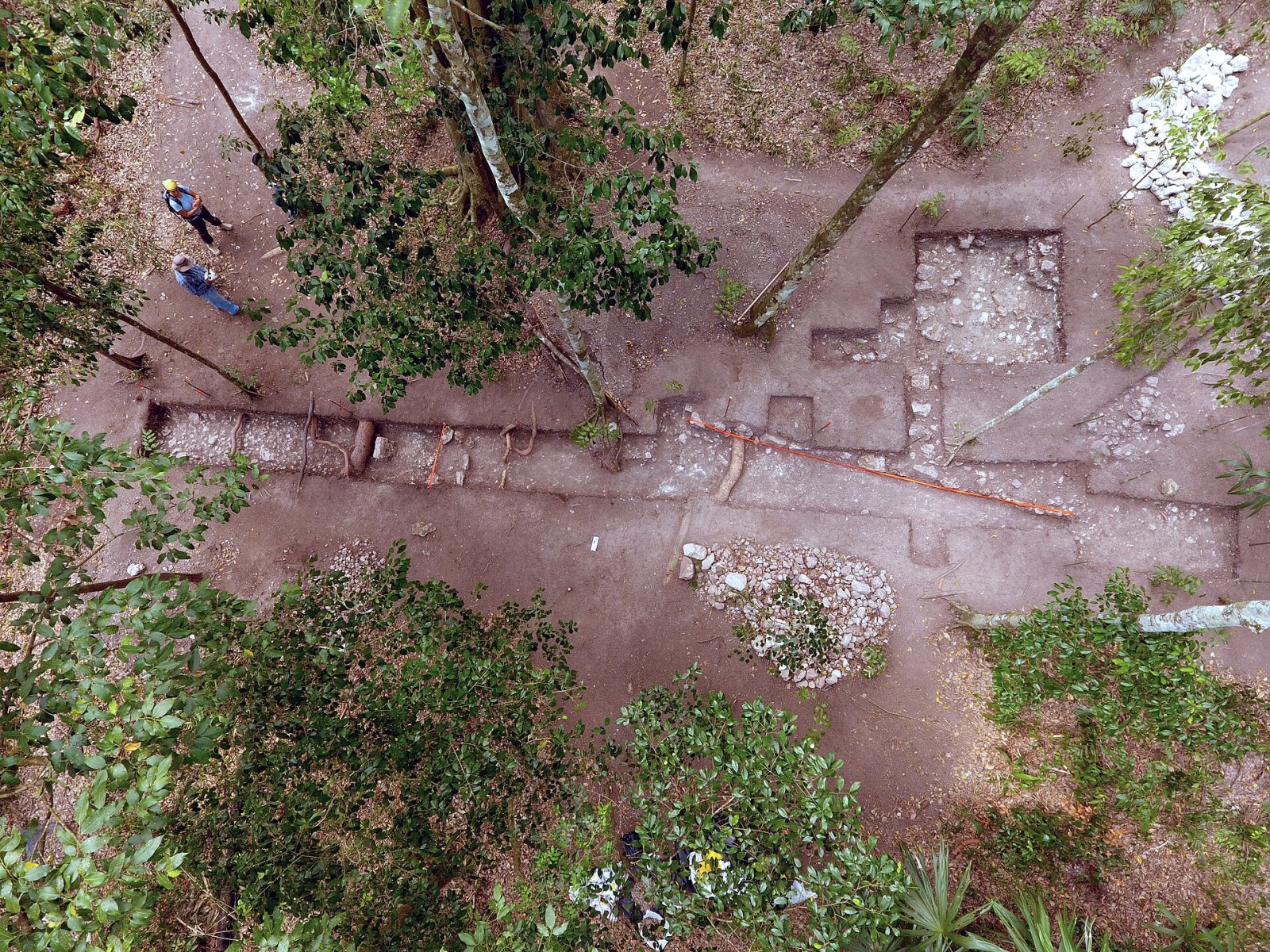El Tintal: Der archäologische Schatz Guatemalas — Chilar