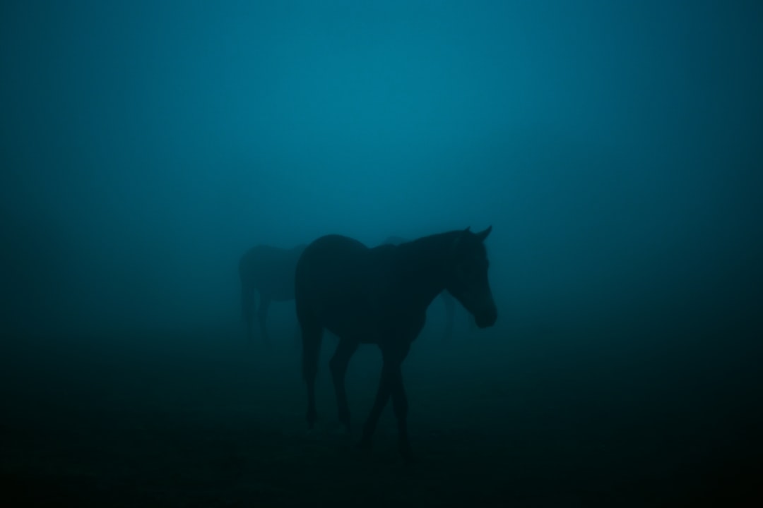 The Blue Horse by Franz Marc: Art and Nature in Zehdenick - Dorfanger 20 | Secret World Trip Planner