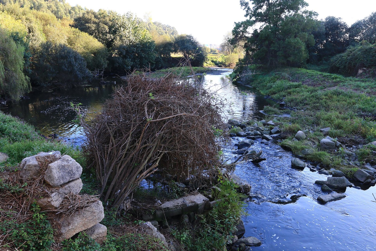 Exploring the Guifões Bridge: History and Beauty in Portugal — Guifões