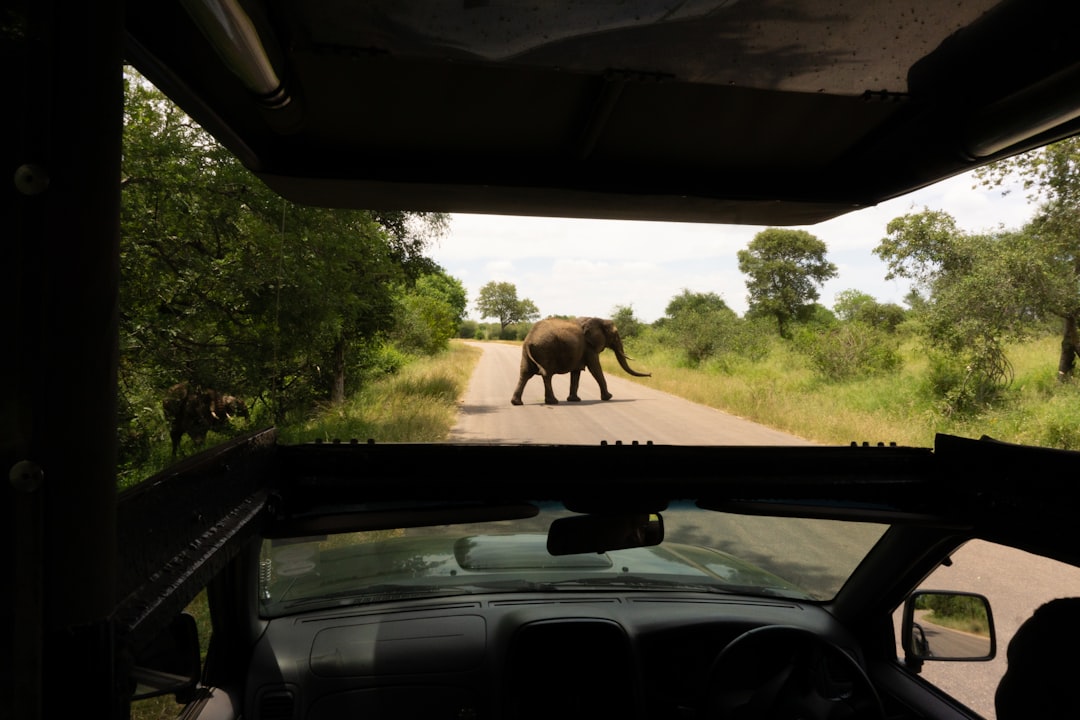 Discover Biodiversity at Kruger’s Malelane Gate — R570