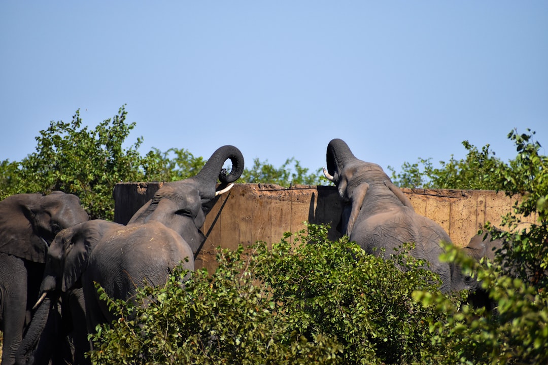Entdecke die Biodiversität am Malelane Gate im Kruger - R570 | Secret World Trip Planner