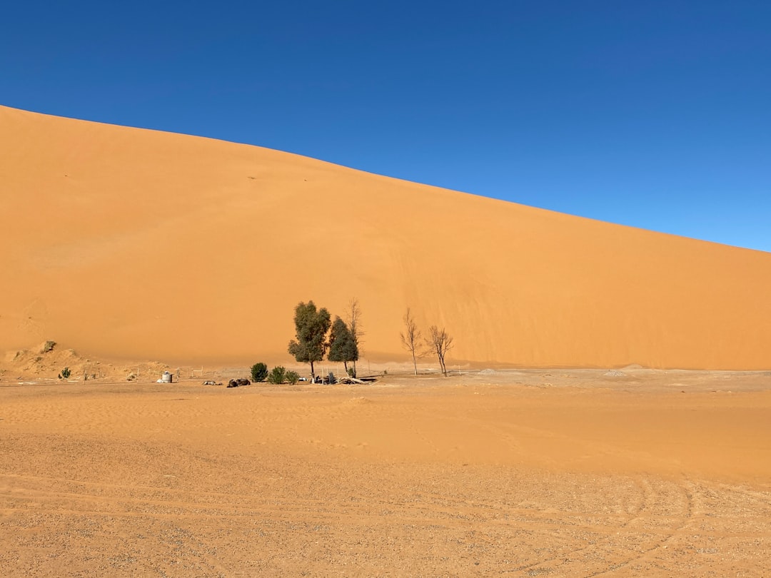 Düne 45 Sossusvlei: Die Magie der Namibwüste - Dune 45 Sossusvlei | Secret World Trip Planner