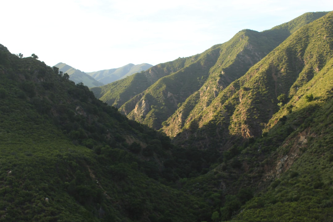 Unter dem Sternenhimmel der Sierra de San Pedro Mártir - Carretera Diaz Ordaz al Observatorio Km 84 | Secret World Trip Planner