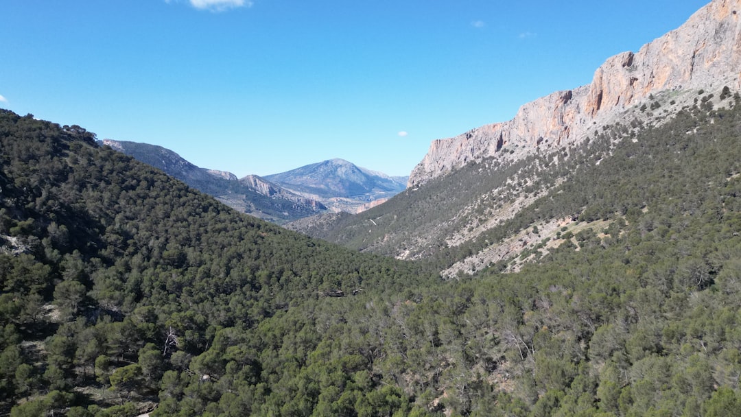 Unter dem Sternenhimmel der Sierra de San Pedro Mártir - Carretera Diaz Ordaz al Observatorio Km 84 | Secret World Trip Planner