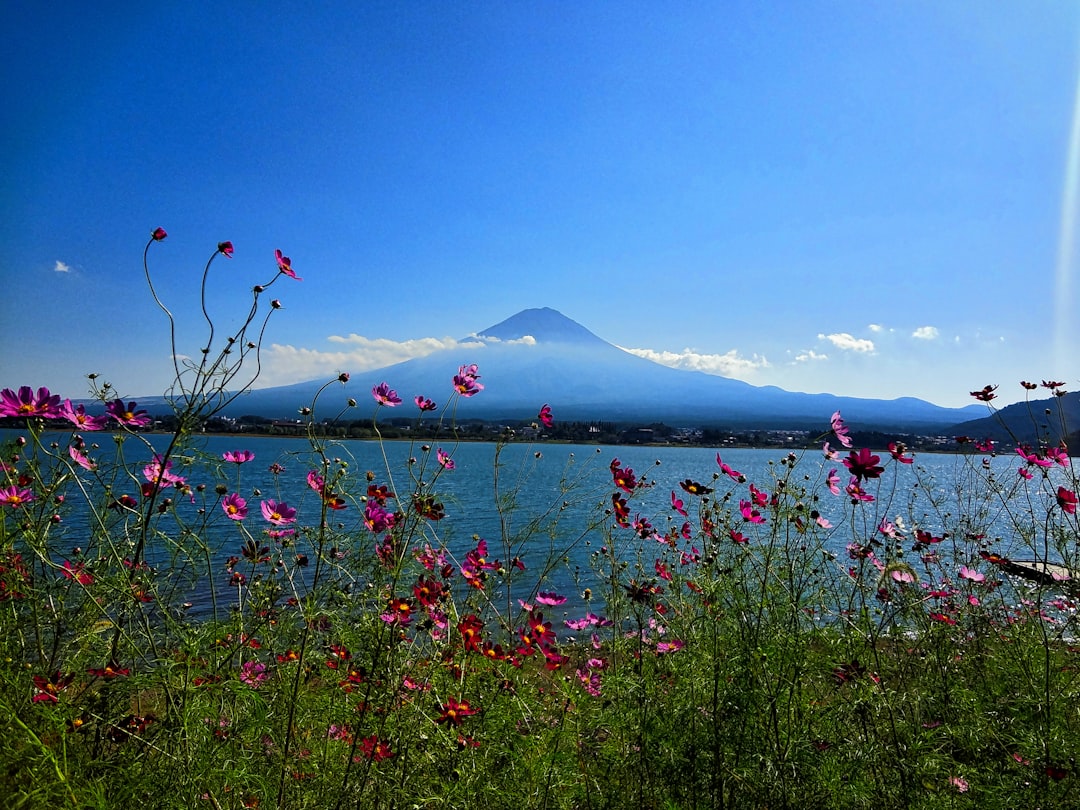 Secret World vs Google Trips: Best Choice for Tokyo 2026 — Tokyo