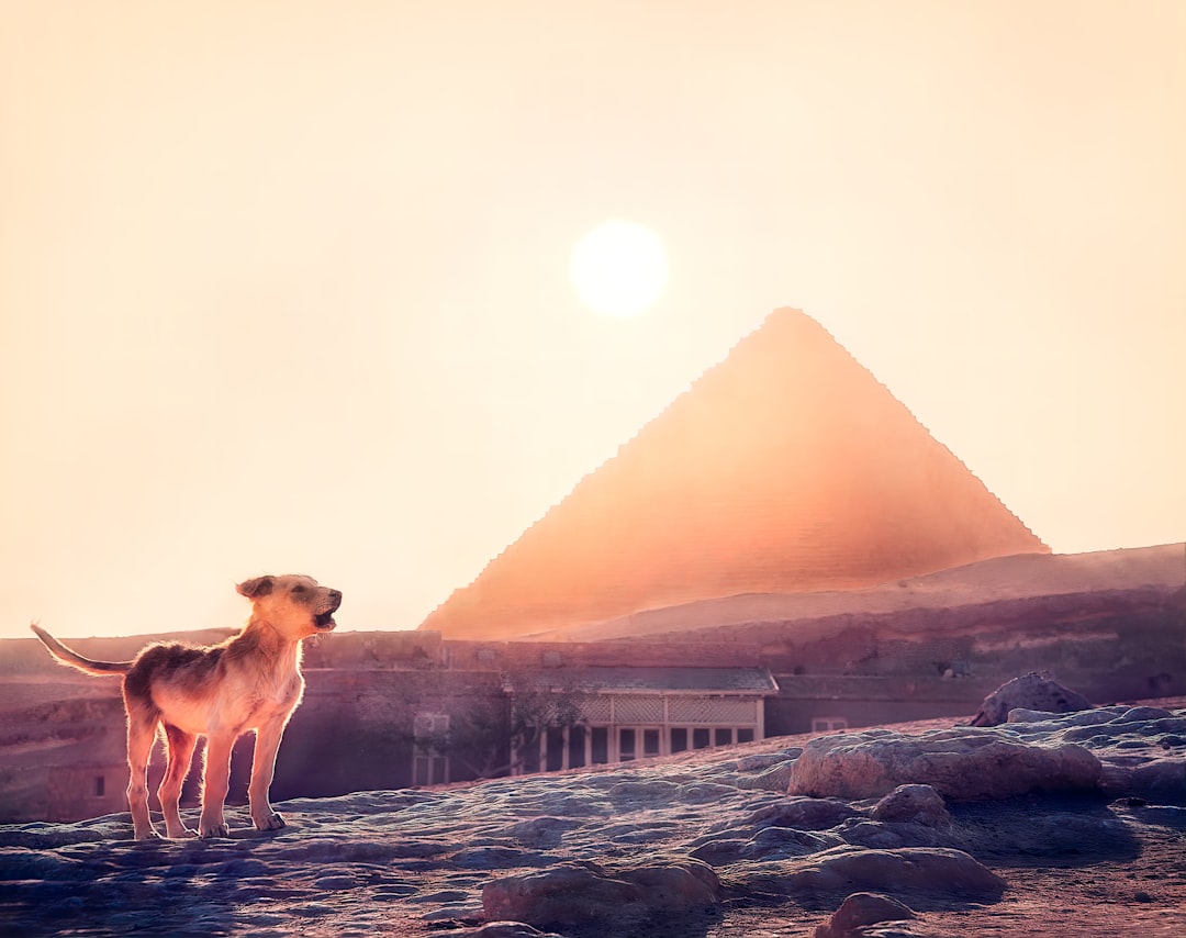Entdecken Sie Utopia: Ein Naturparadies in Ägypten
