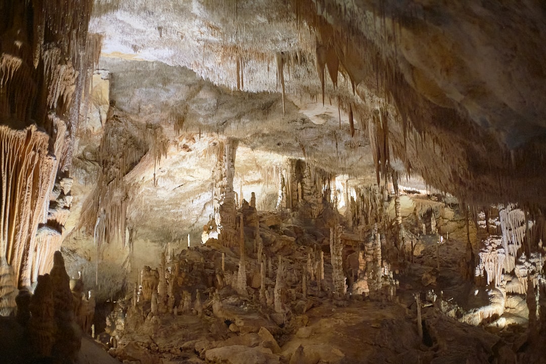 The Enchanting Drach Caves: An Underground Journey - 07680 Porto Cristo | Secret World Trip Planner