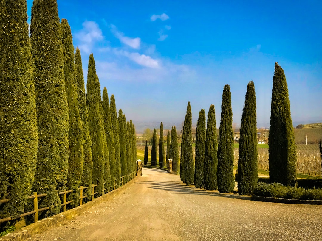 蒙塔尔奇诺：布鲁内罗的心脏 - 53024 Montalcino SI | Secret World Trip Planner