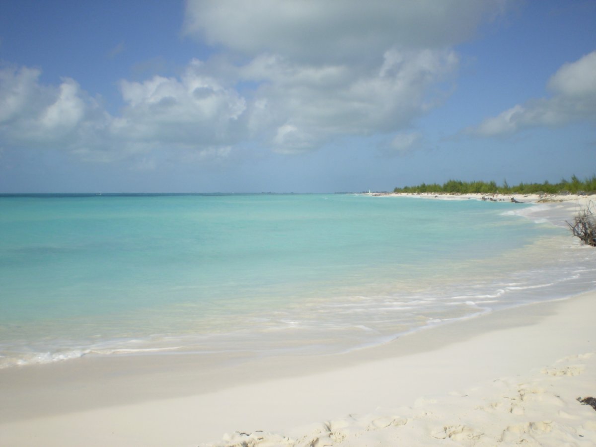 Entdecke Playa Paraiso: Der Traumstrand in Cayo Largo — Cayo Largo