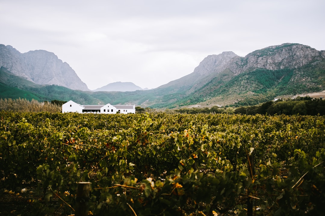 Franschhoek: Il Paradiso dei Vini in Sudafrica — Franschhoek