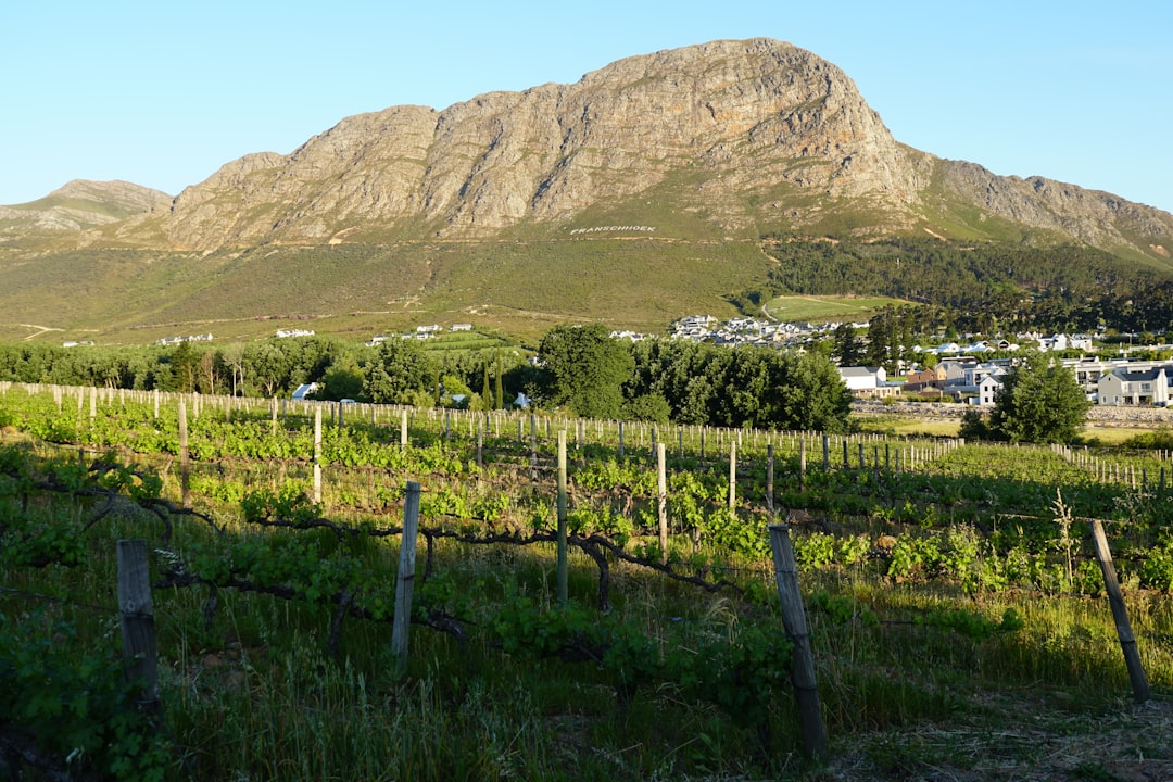 Franschhoek: Das Weindorado in Südafrika - Franschhoek | Secret World Trip Planner