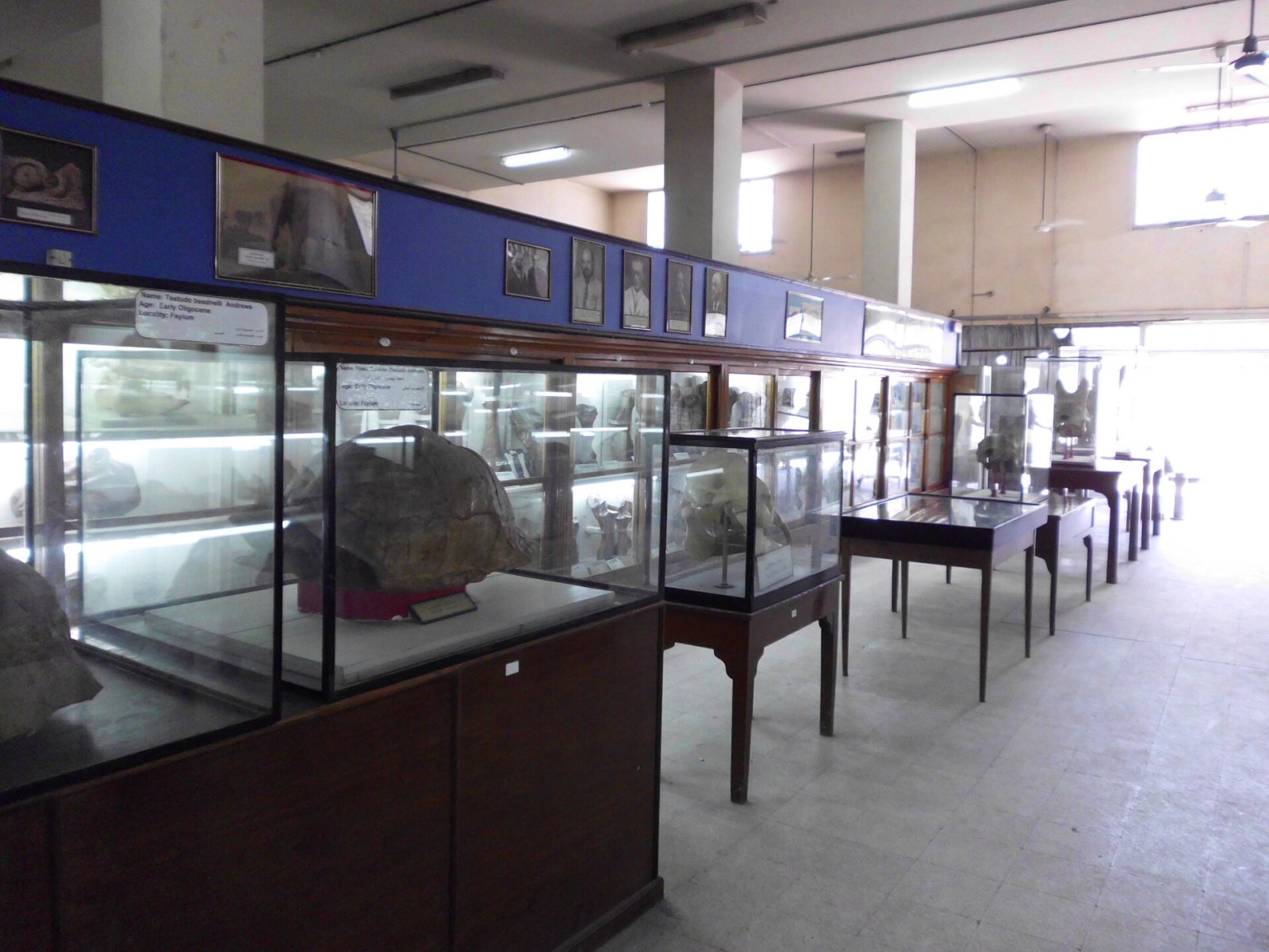 Entdecken Sie das Ägyptische Geologische Museum: ein Schatz in Kairo - Athar an Nabi | Secret World Trip Planner