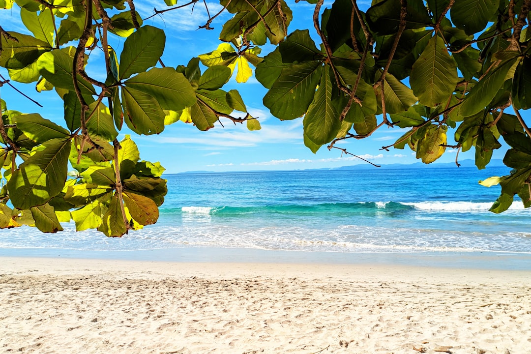 Playa Blanca erkunden: ein Naturparadies in Costa Rica — Herradura