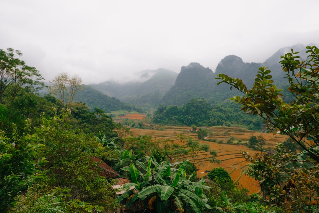 Entdecken Sie die Schönheit von Phou Den Din, einem Naturparadies in Vietnam - Muong Nhe | Secret World Trip Planner