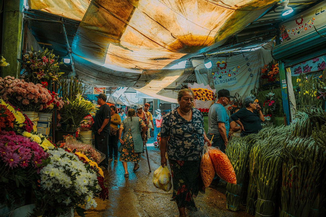 Explore La Ciudadela Artisan Market in Mexico City - 06040 Ciudad de México | Secret World Trip Planner