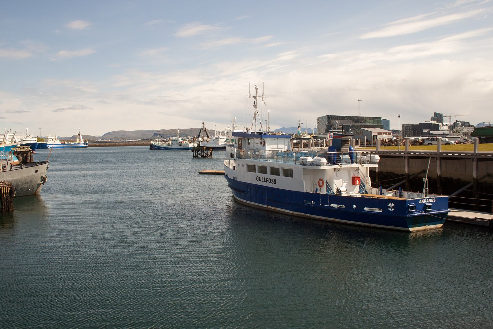 Entdecke Víkin: Das sportliche Herz von Reykjavík - Reykjavík | Secret World Trip Planner
