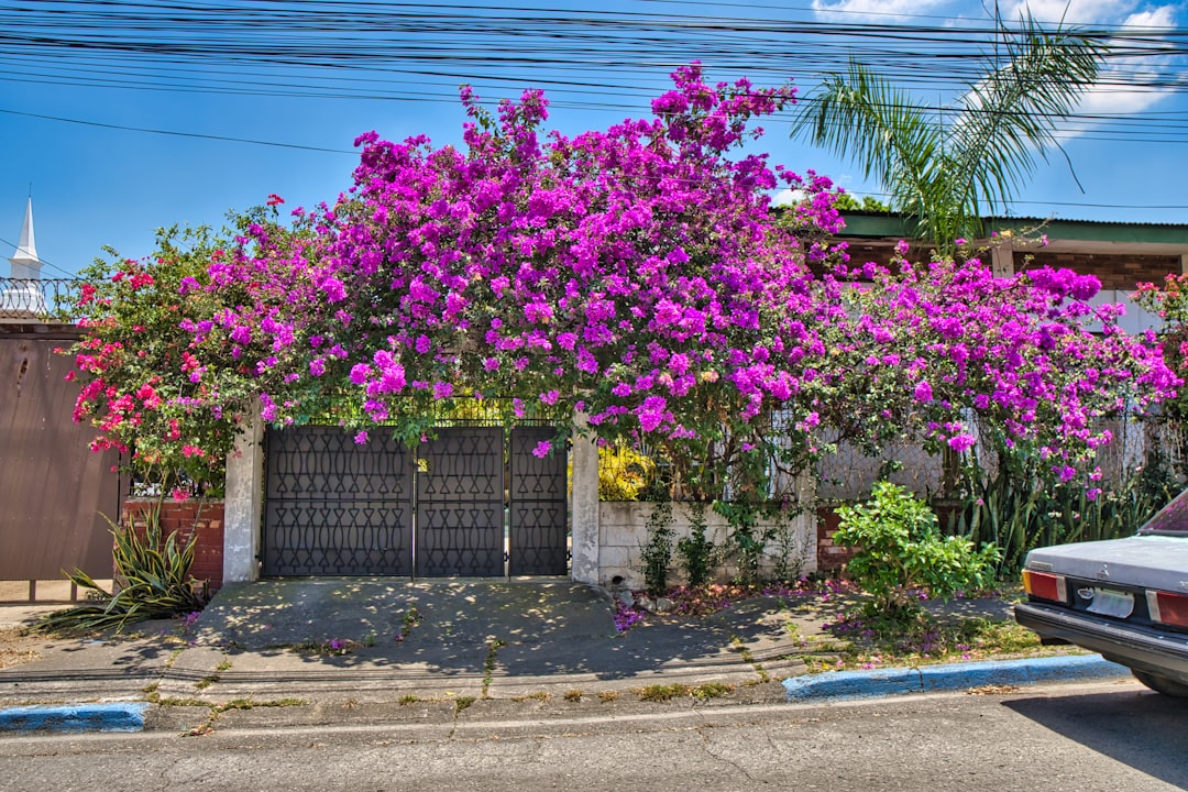 Entdeckung des Botanischen Gartens José María Orozco — San José