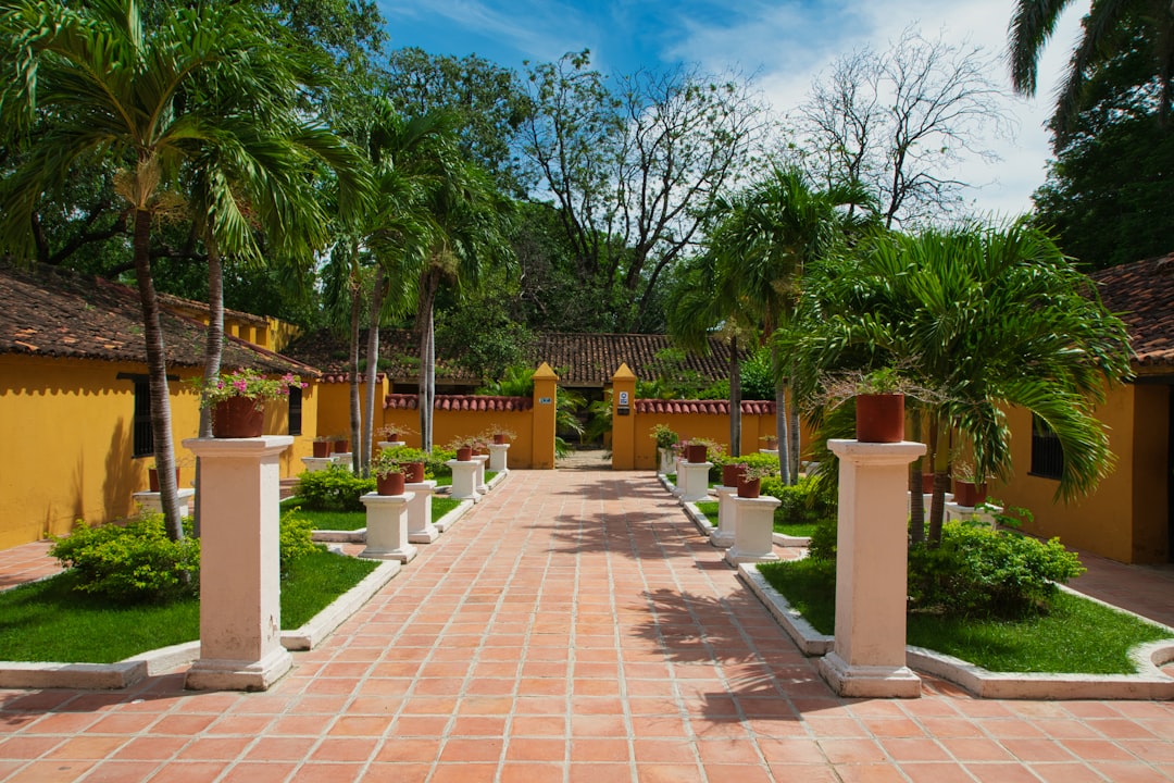Entdeckung des Botanischen Gartens José María Orozco - San José | Secret World Trip Planner