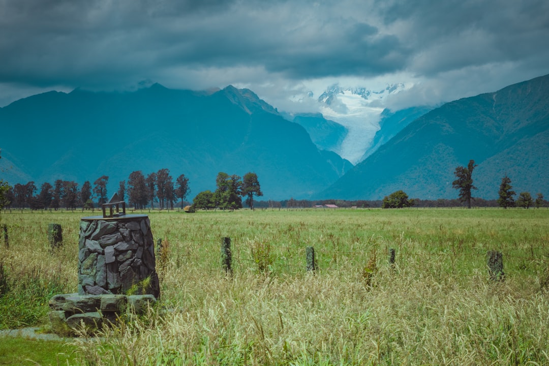 Discover The Bush Markers: A Cultural Treasure of New Zealand — Auckland