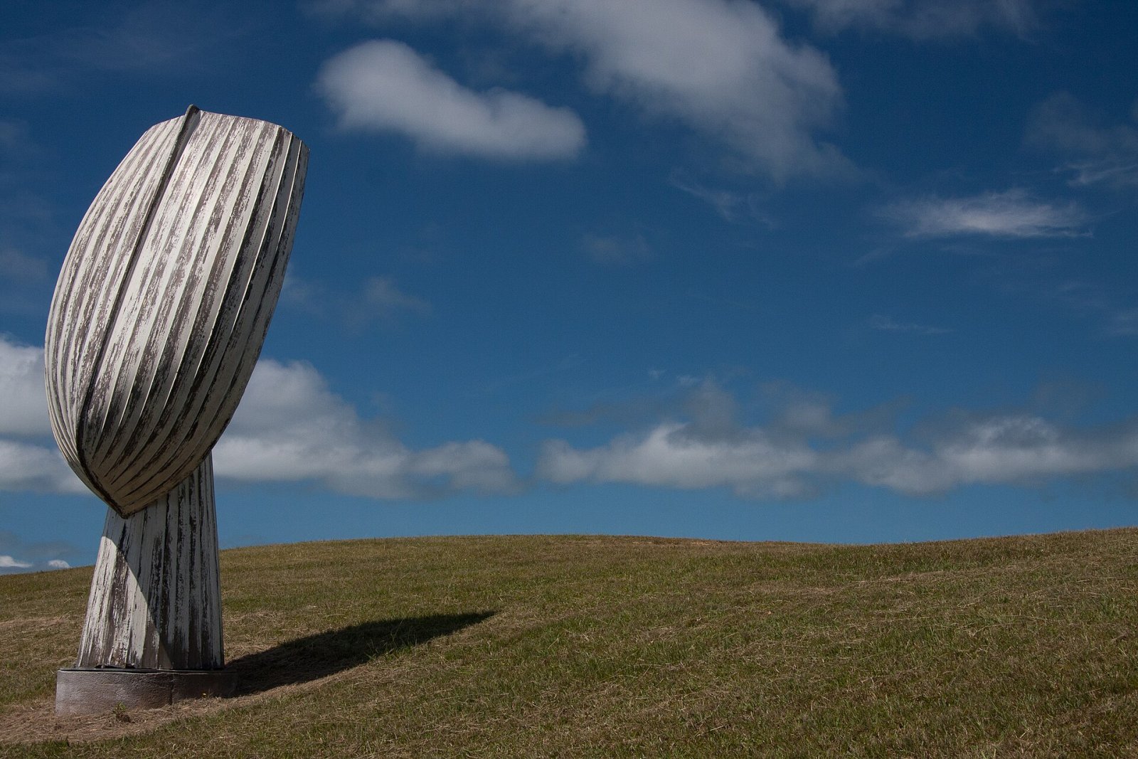 Discover Flotsam: The Video Game Transforming New Zealand Culture — Waiheke Island