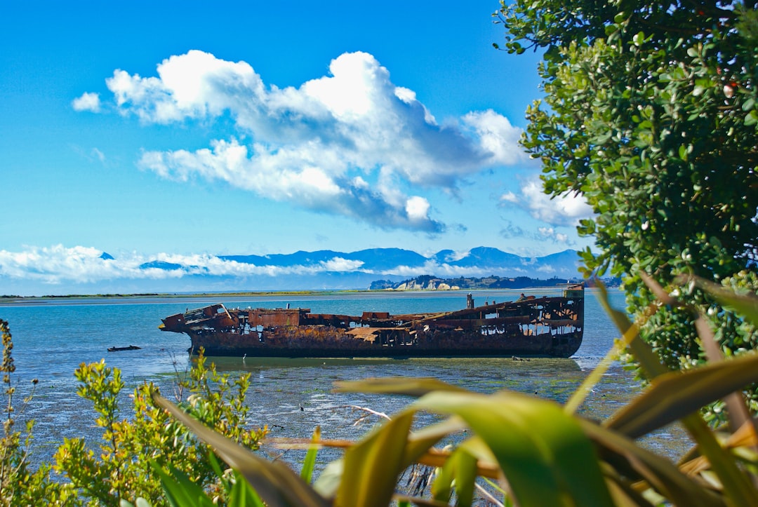 Entdecken Sie Ship's Grab: Ein kulturelles Wahrzeichen in Auckland — Auckland