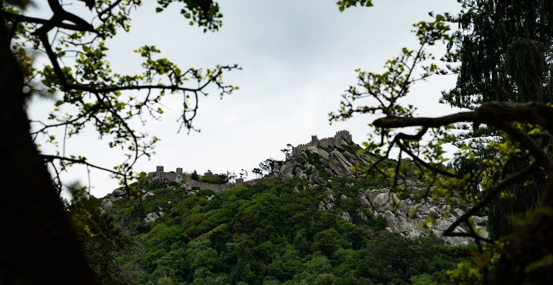 Esplorando il Castelo dos Mouros: un tesoro nascosto a Sintra - 2710-405 Sintra | Secret World Trip Planner