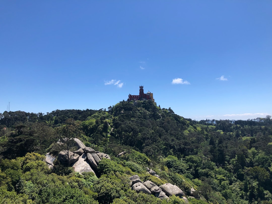 Entdeckung des Castelo dos Mouros: Ein versteckter Schatz - 2710-405 Sintra | Secret World Trip Planner